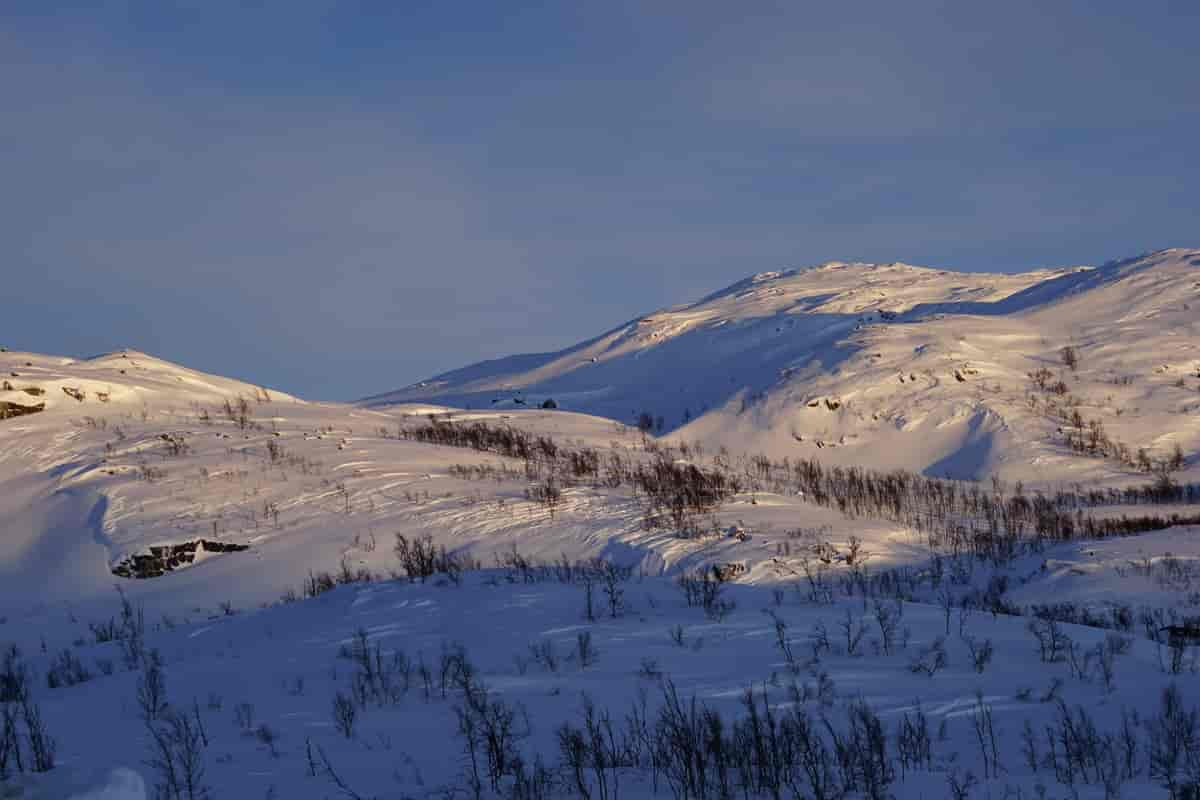 Bjørnfjell