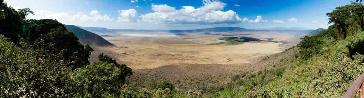 Ngorongoro