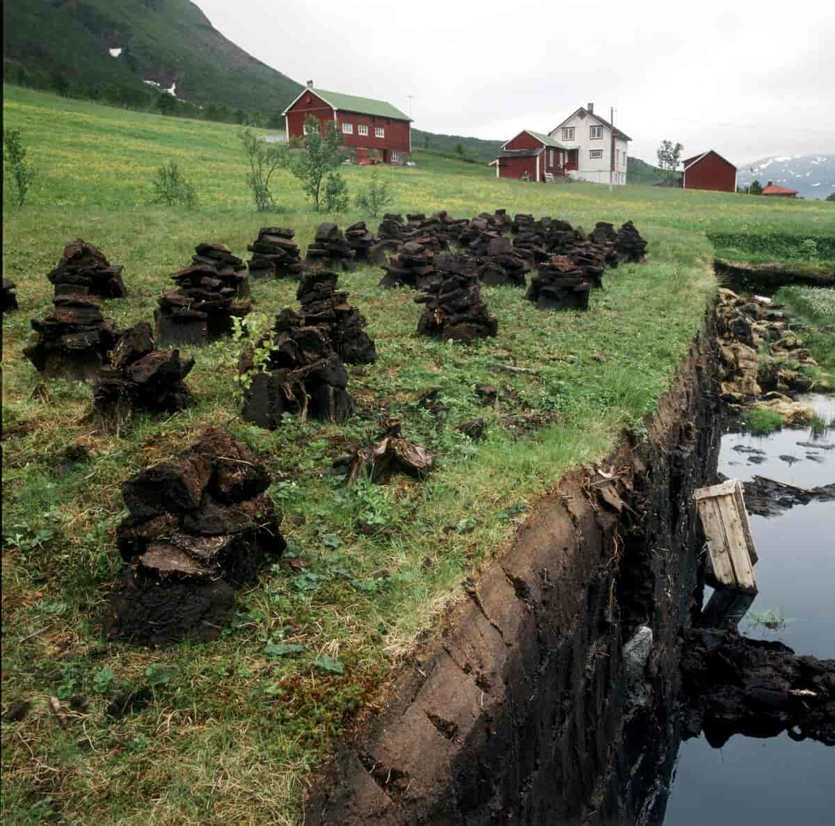 Torvproduksjon og tørking av torv