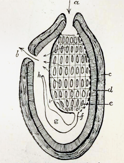 Sekkdyr bygning