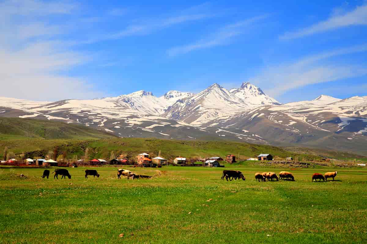 Aragats