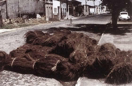 fiberbunter av Attalea funifera