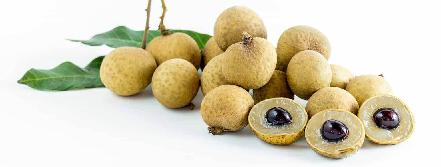 Longan