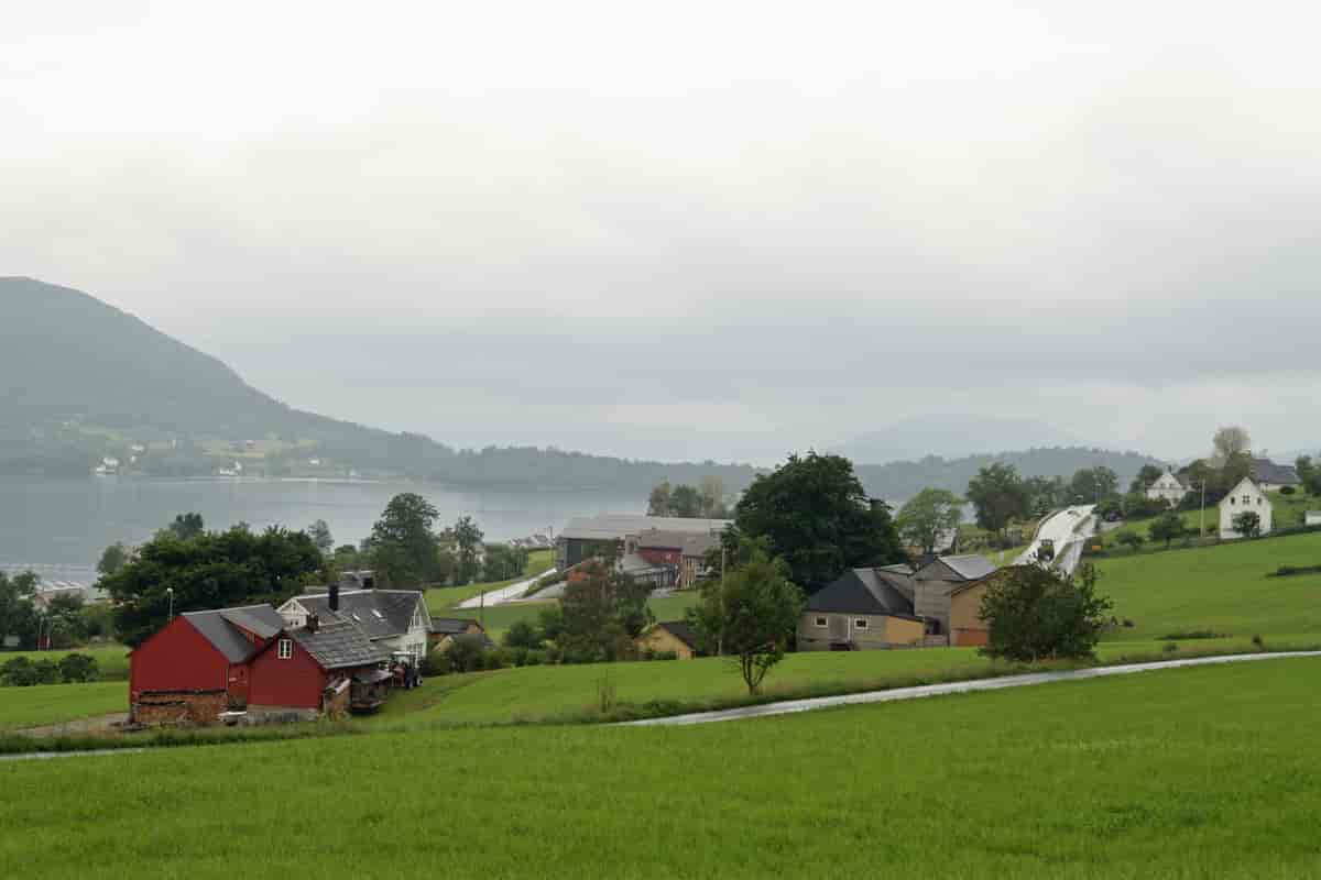 Rosendal