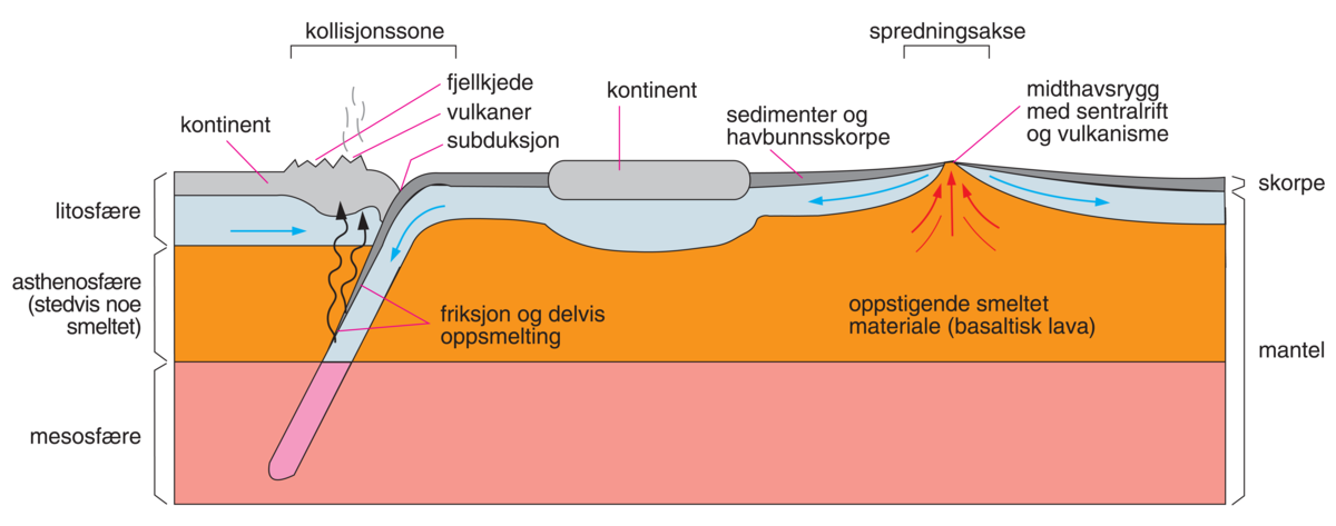 Platetektonikk