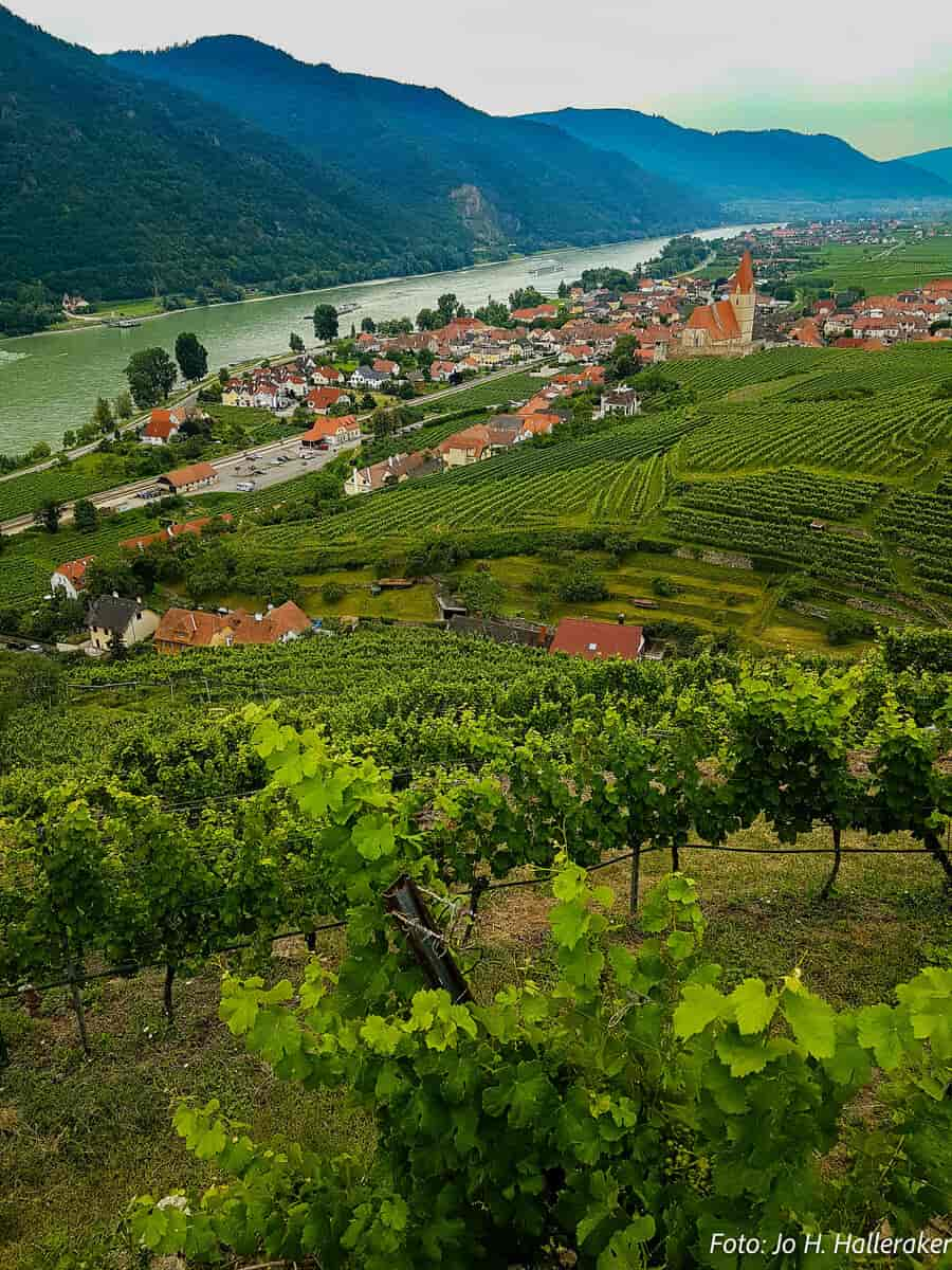 Weissenkirchen, Wachau