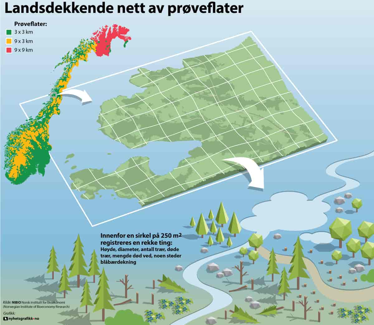 Landsskogtakseringens prøveflater