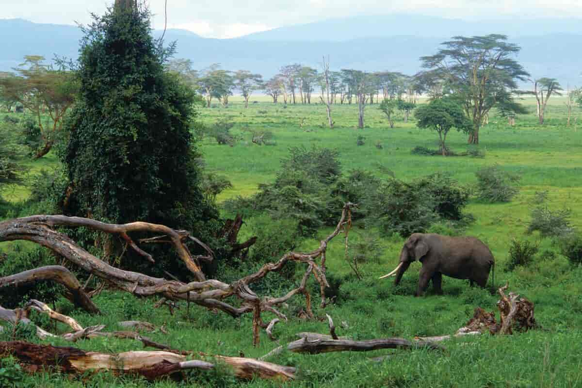 Tanzania