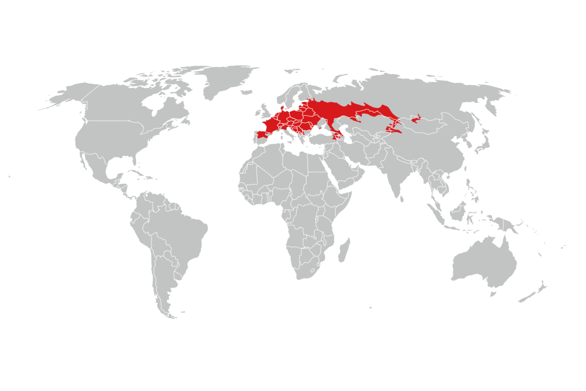 utbredelse av sørmarkmus