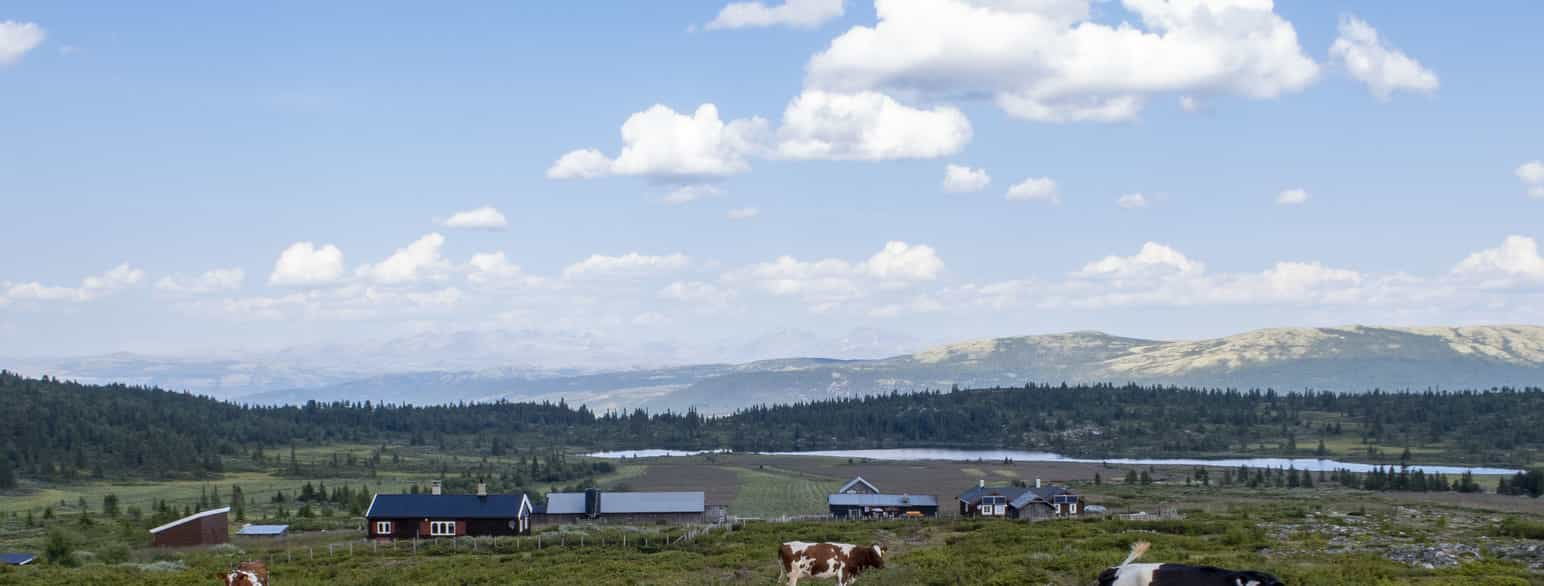 Øldalen i Nord-Fron kommune.