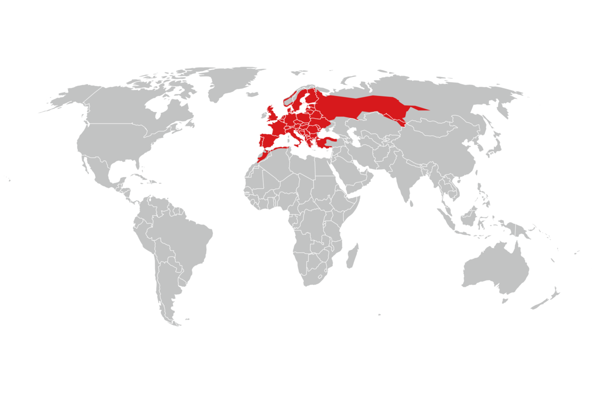 utbredelse av nordpadde