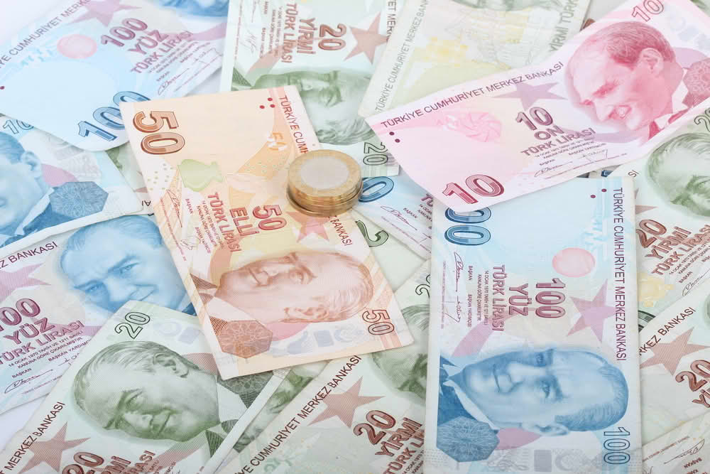 Myntenheten Lira