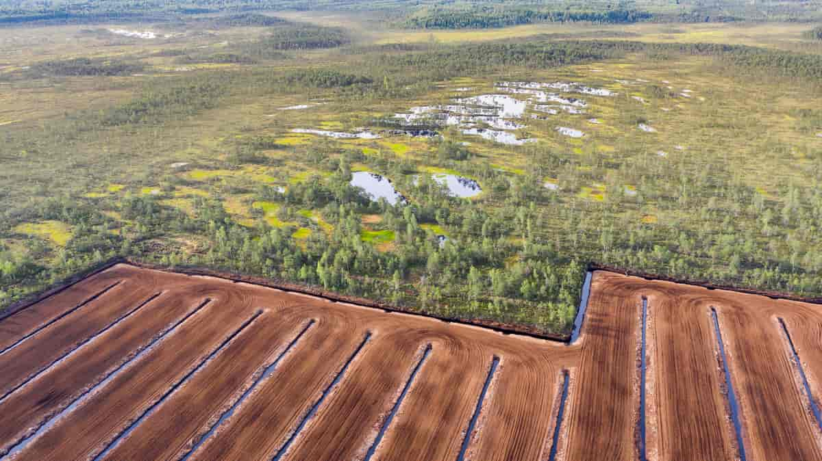 Myrlandskap etter torvutvinning.