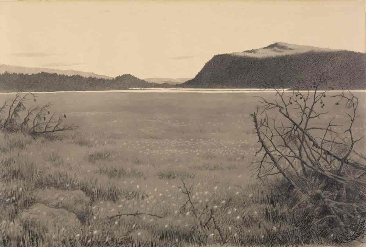 Myrene ved Solevannet - landskapstegning av Theodor Kittelsen