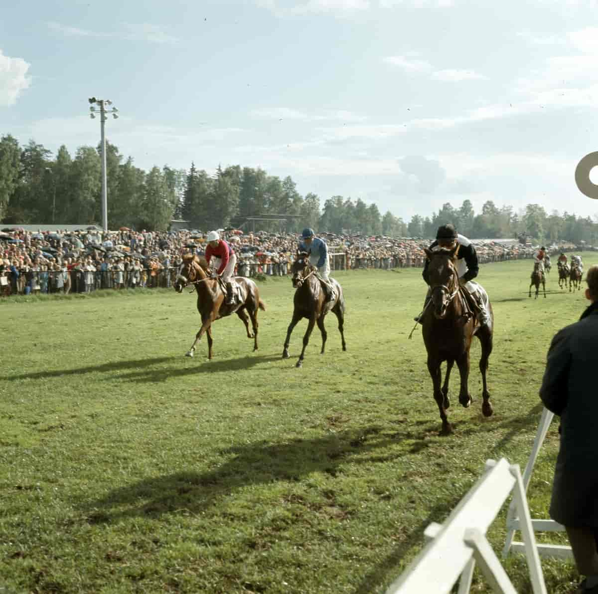 Norsk Derby