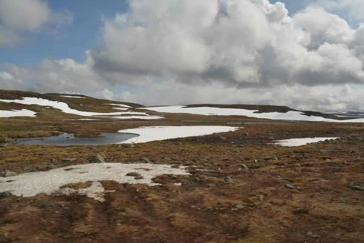 Hardangervidda