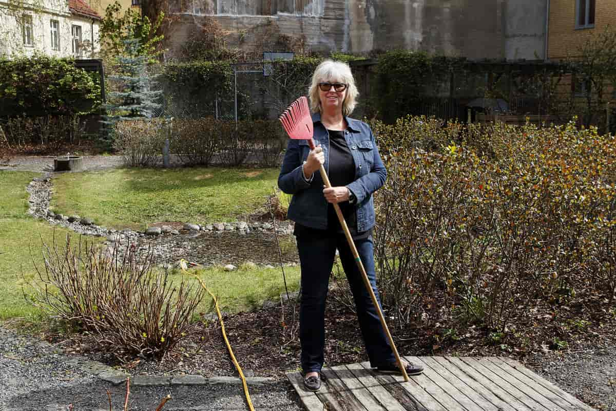 Dugnad i Byhagen Borettslag, styreleiaren er klar med rive