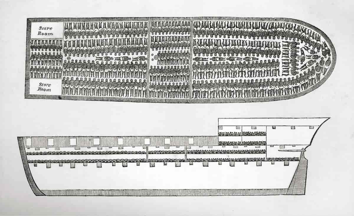 Teikning av eit slaveskip. Teikninga viser eit tversnitt av skipet, og eit dekk vist rett ovenfra. På dekket er det teikna inn mange menneske (fleire enn 250) som ligger tett, tett saman utan plass til å røre seg. Tverrsnittet viser at det er to slike dekk fylt med slavar i heile skipets lengde. I tillegg viser tverrsnittet to mindre dekk som også er fylt med menneske.