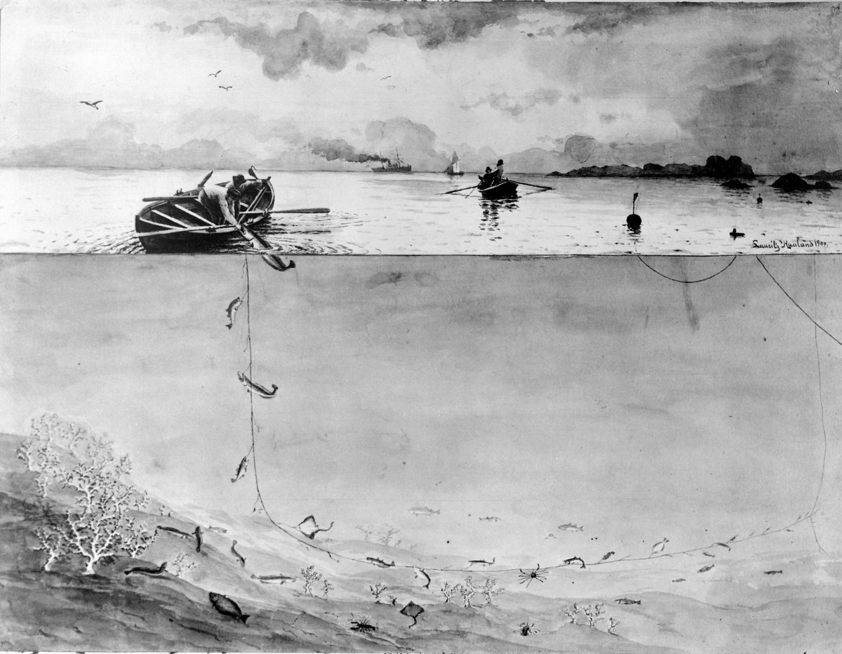 Linefiske