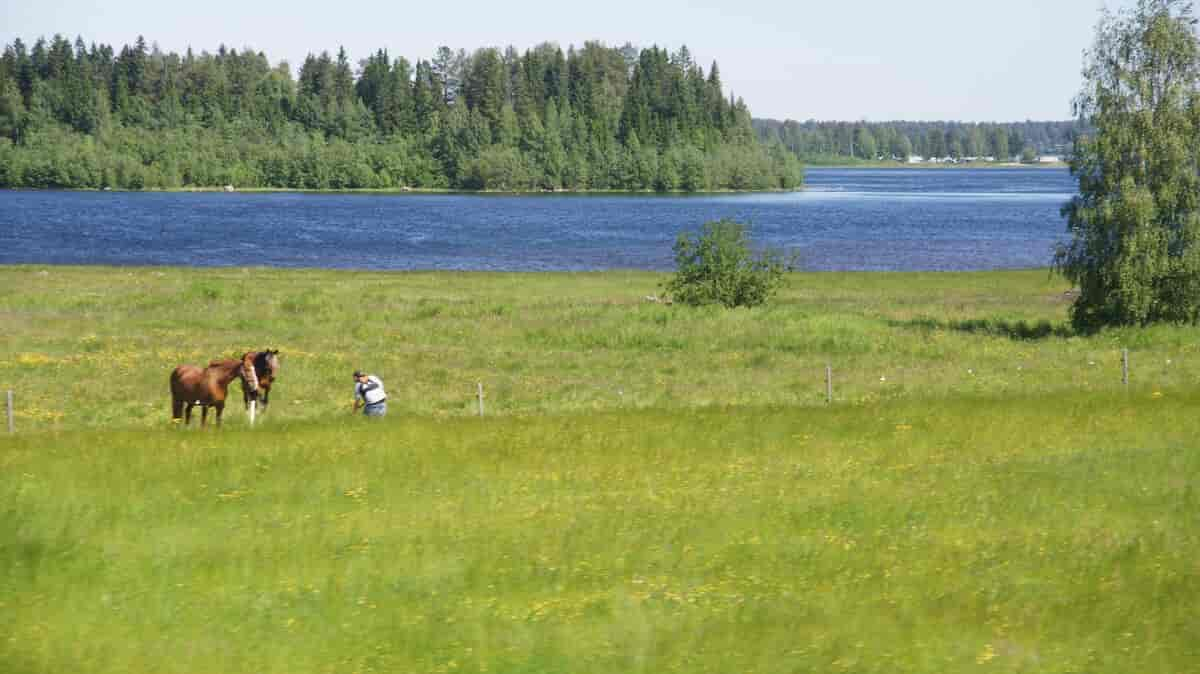 Norrbotten