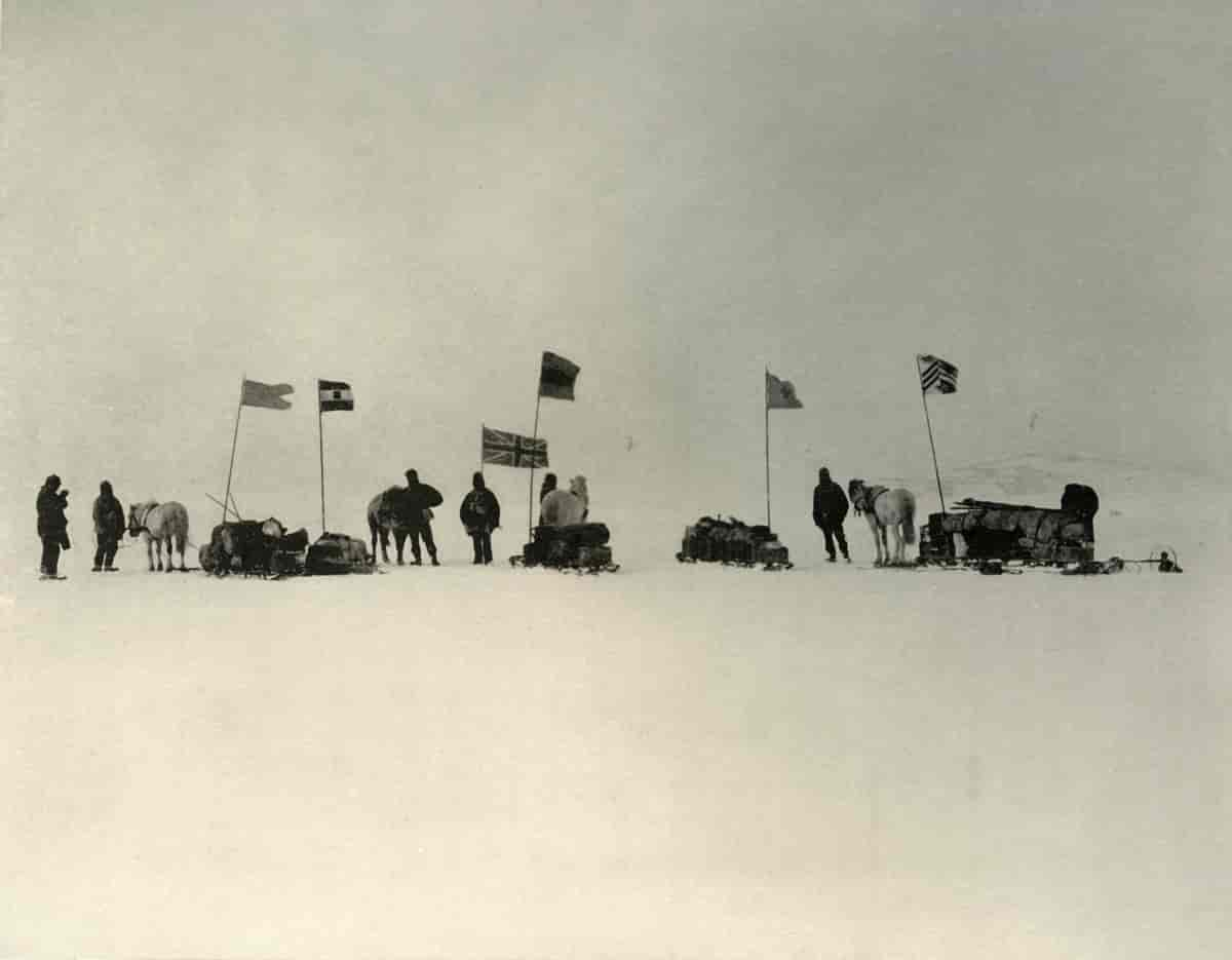 menn og sleder trukket av ponnier