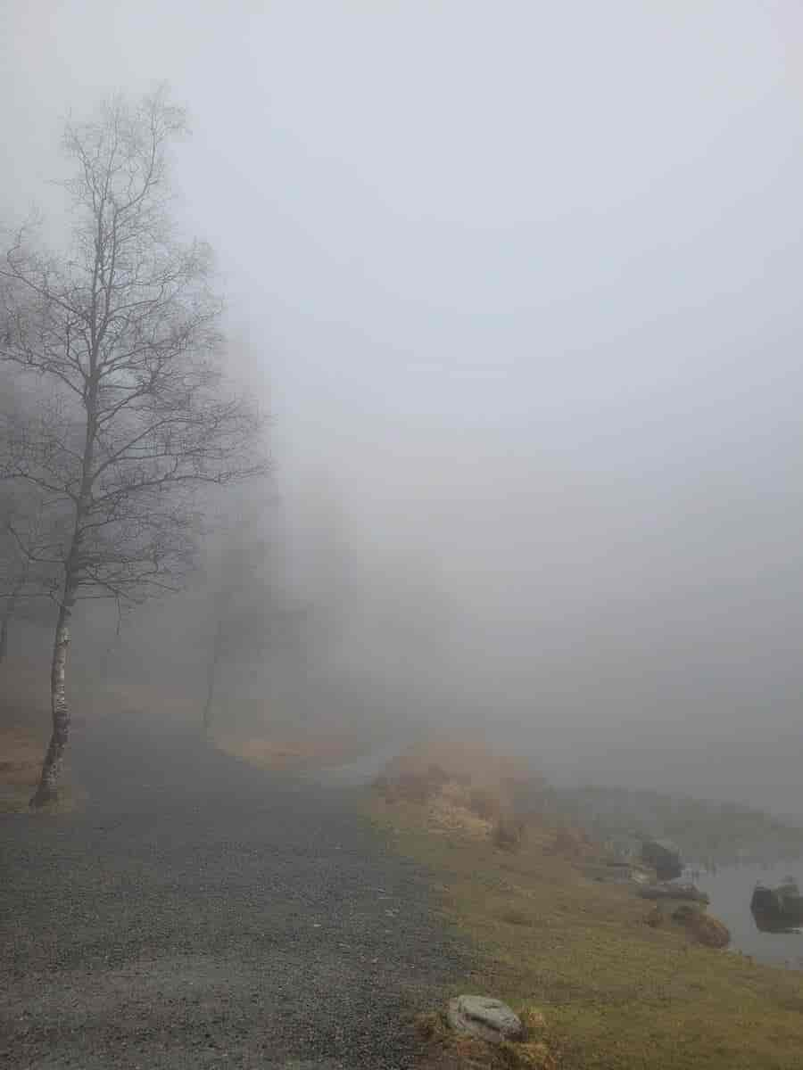 Tåke og yr på Skomakerdiket, Bergen