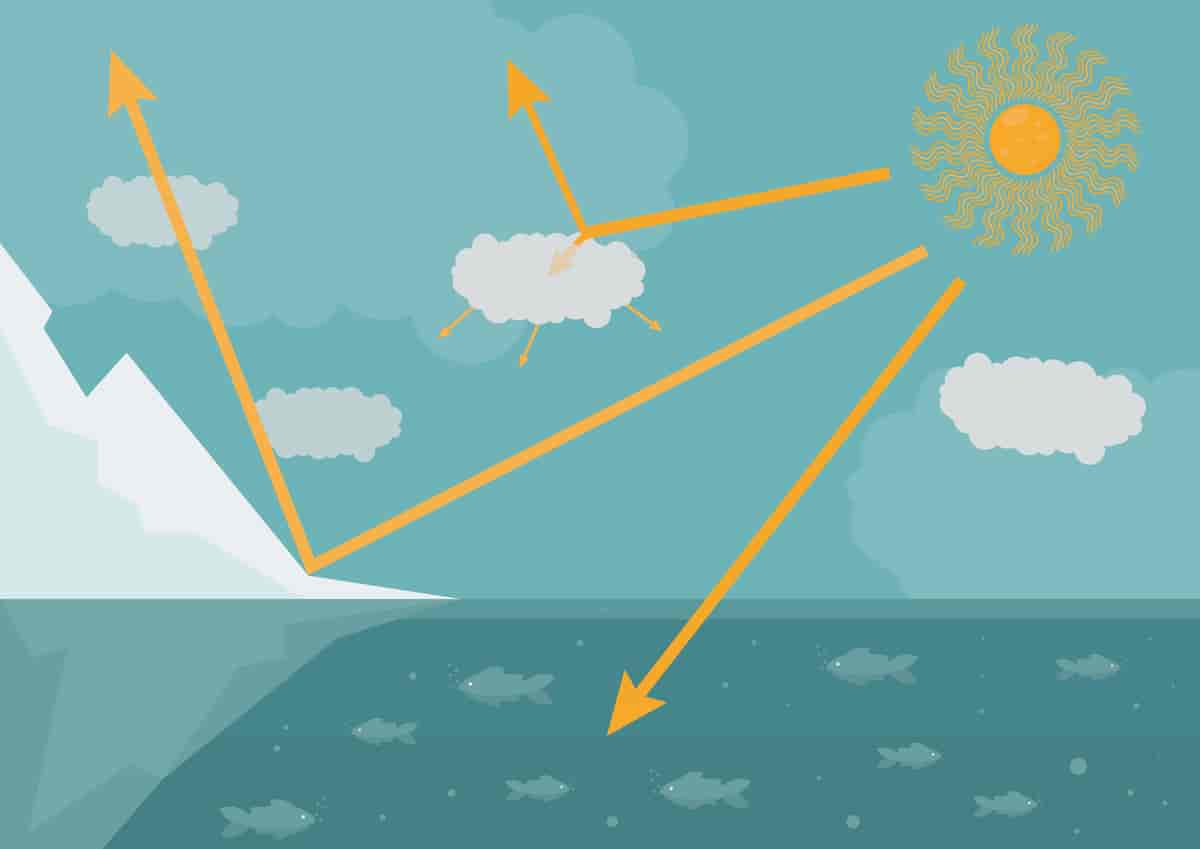 tegning med sol og piler som viser at vatn reflekterer lite lys, skyar middels mengd og is reflekterer mykje lys.