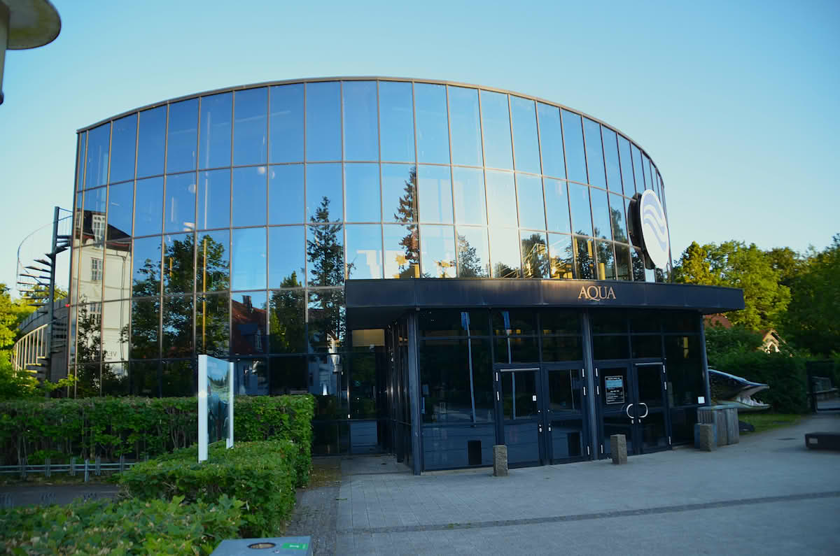 Ferskvannsakvarium.