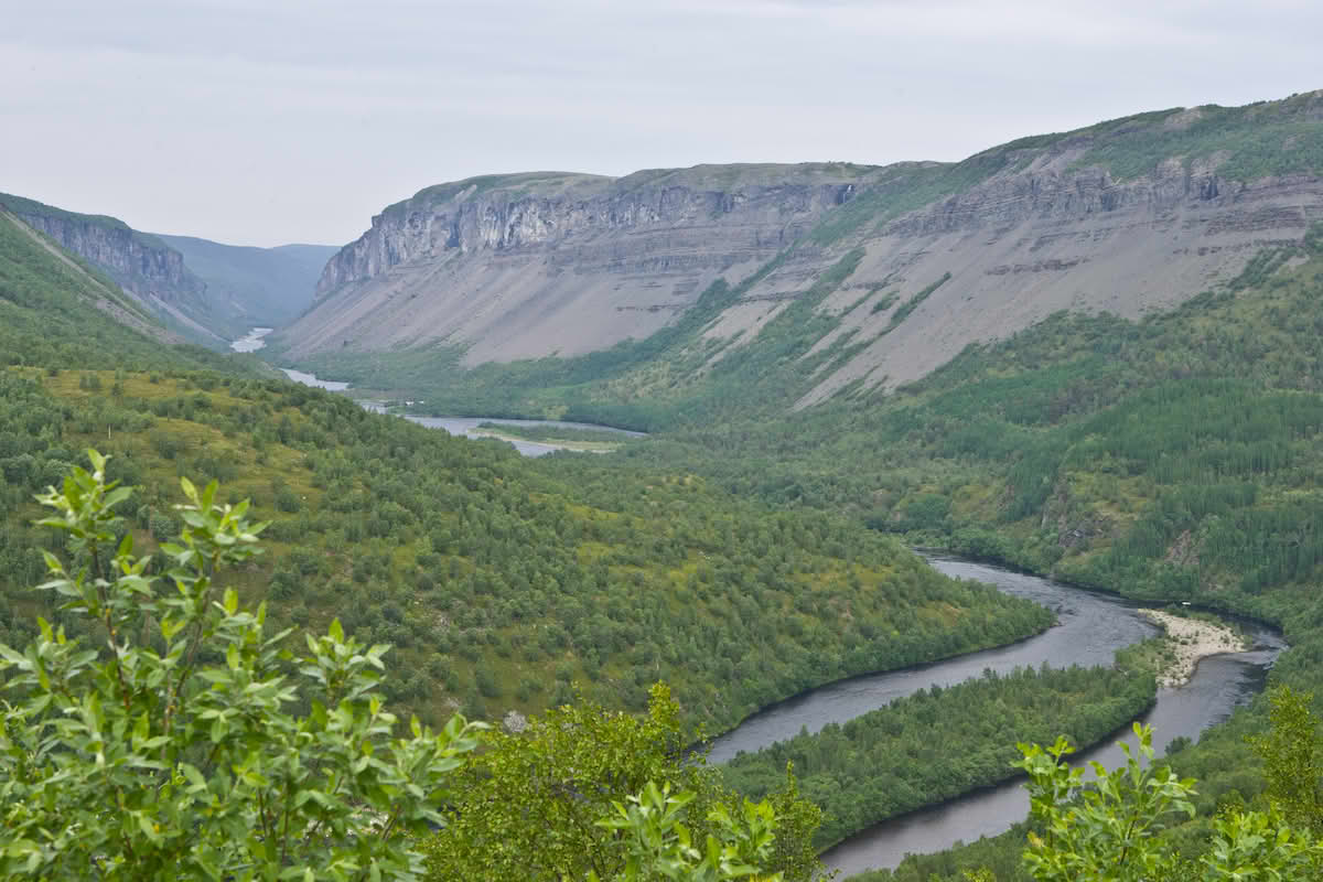 Selje i Finnmark