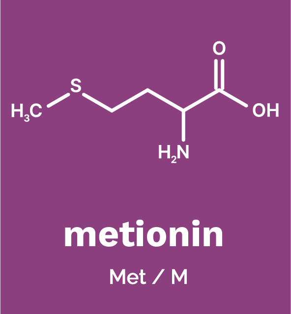 Metionin