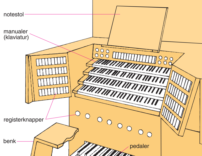 Orgel (prinsippskisse)