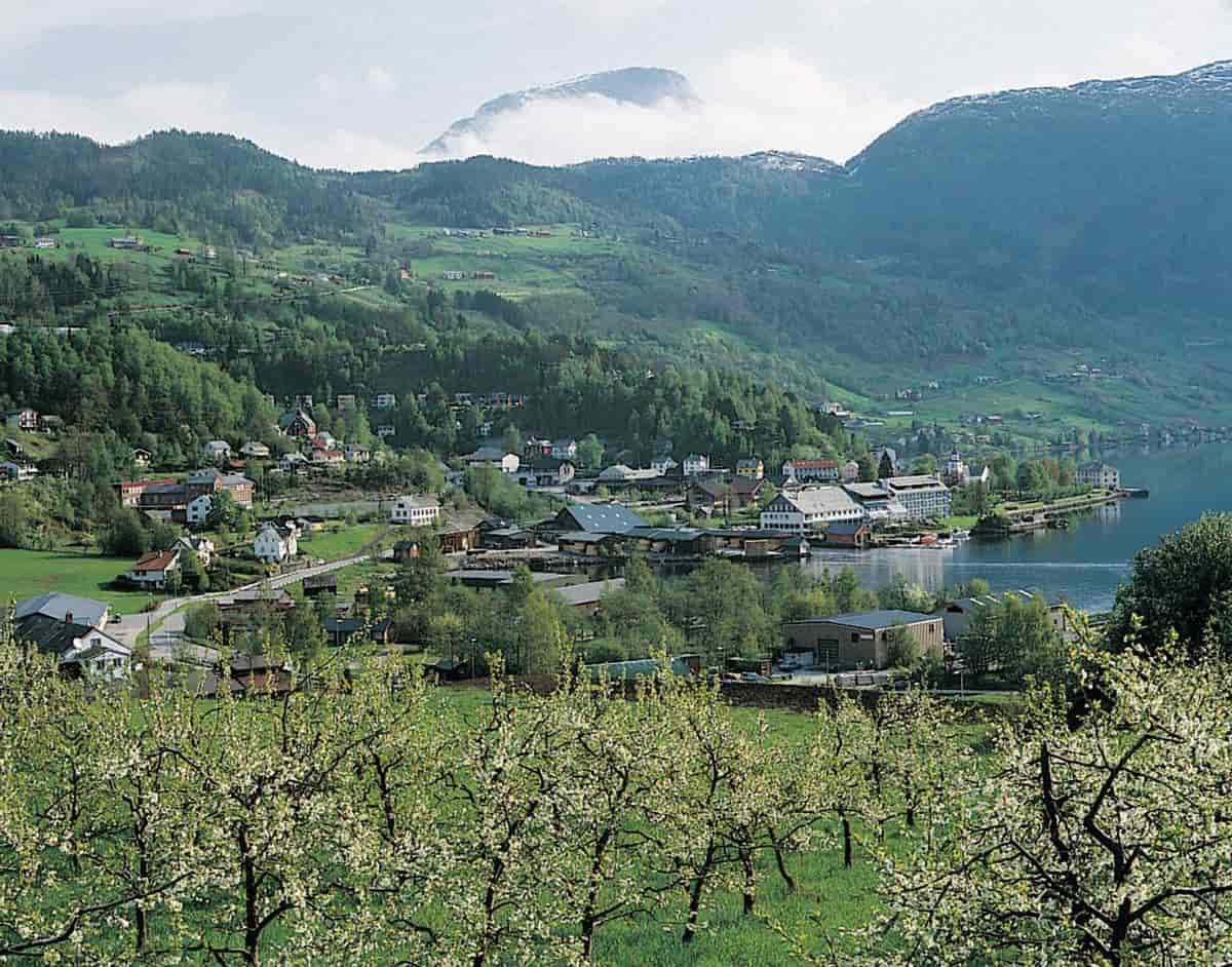 Ulvik