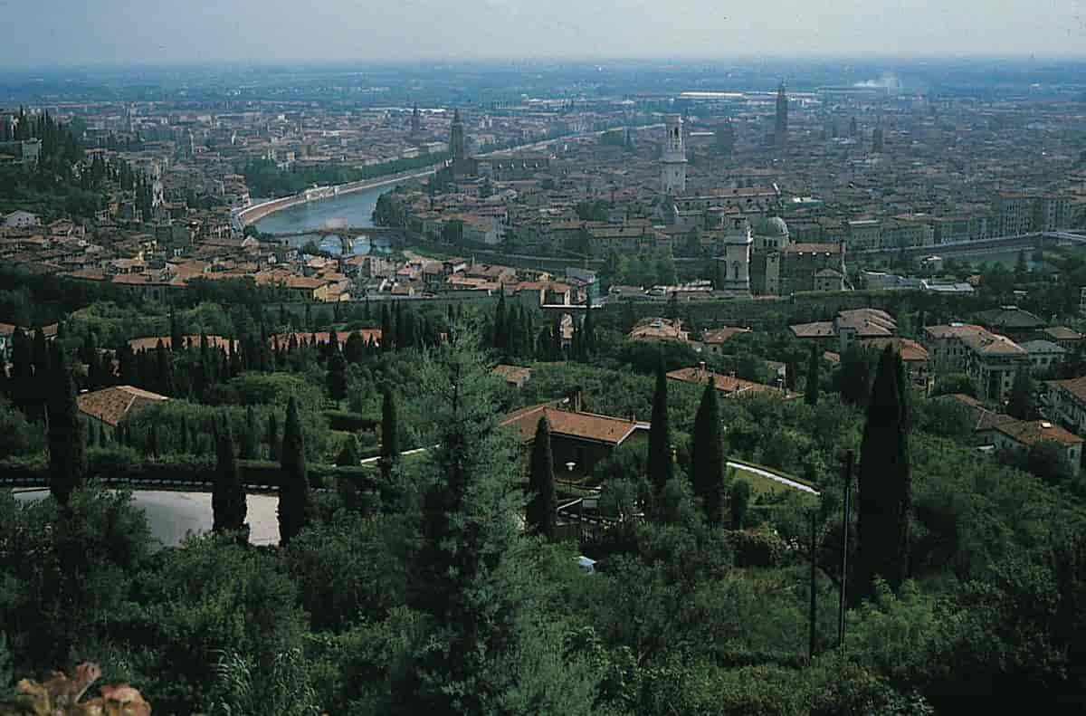 Verona