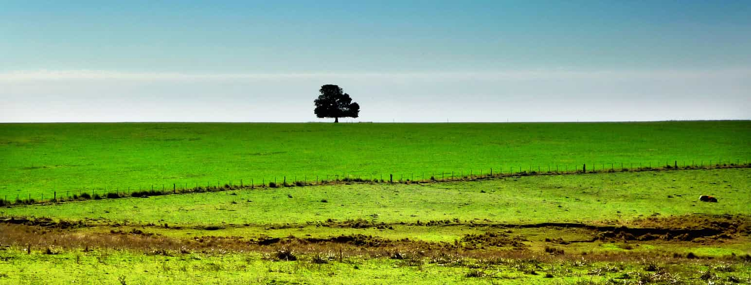 Salto, Uruguay