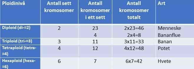 Ploidinivå i ulike arter