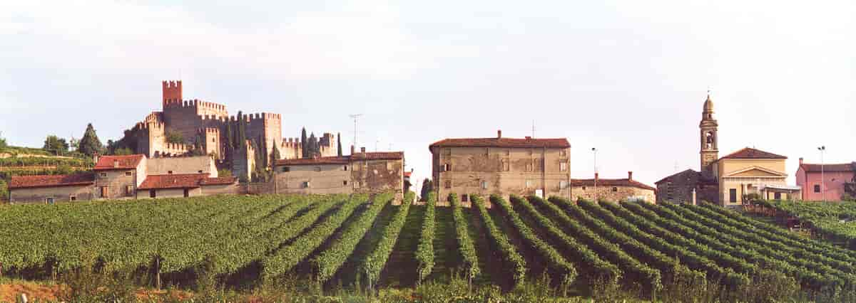 Basanello Soave