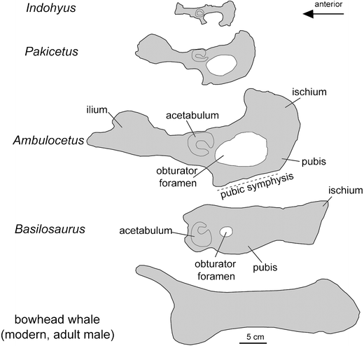 figure 26