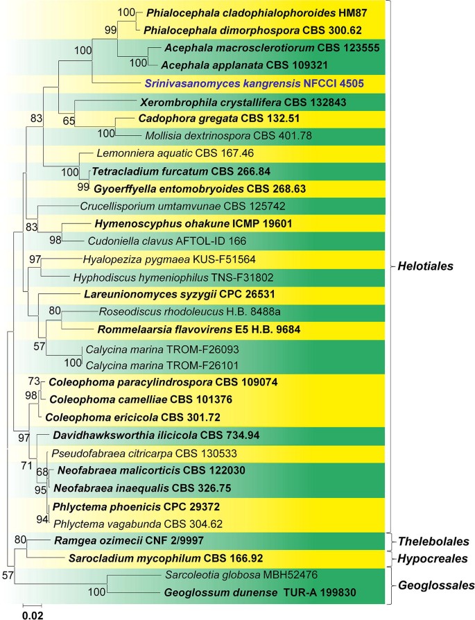 figure 101