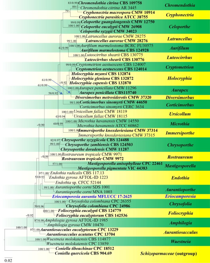 figure 108