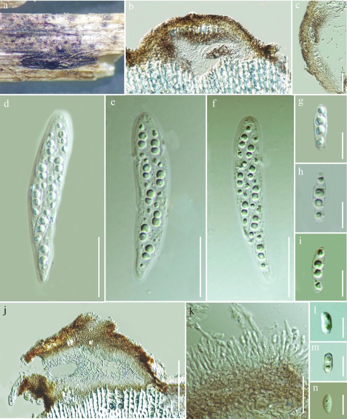 figure 113