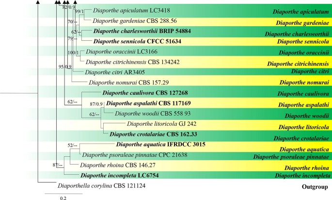 figure 116