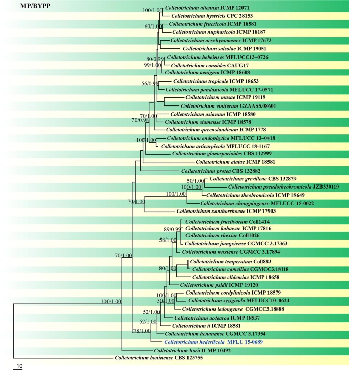 figure 123