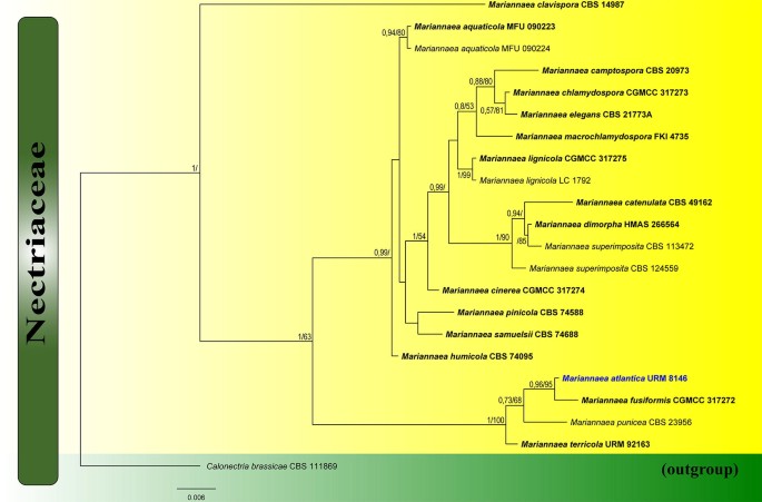 figure 130