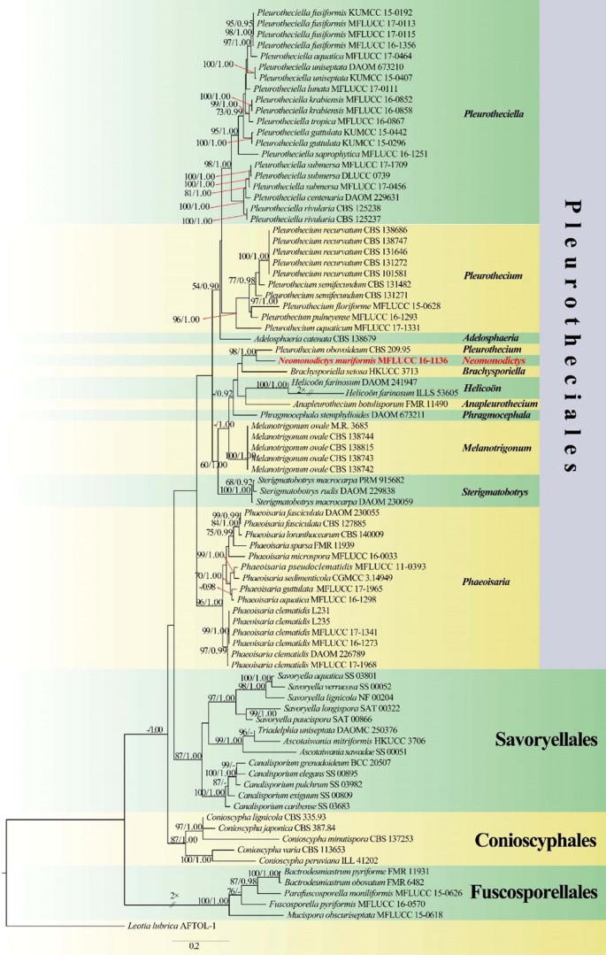 figure 132