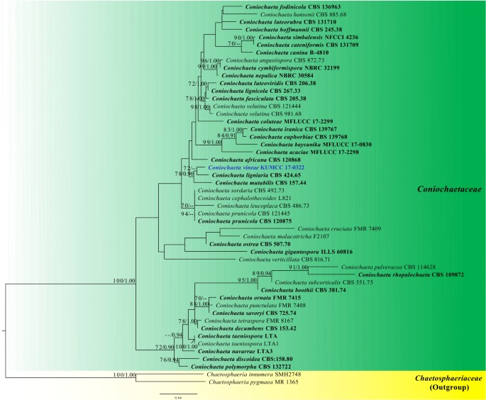 figure 137