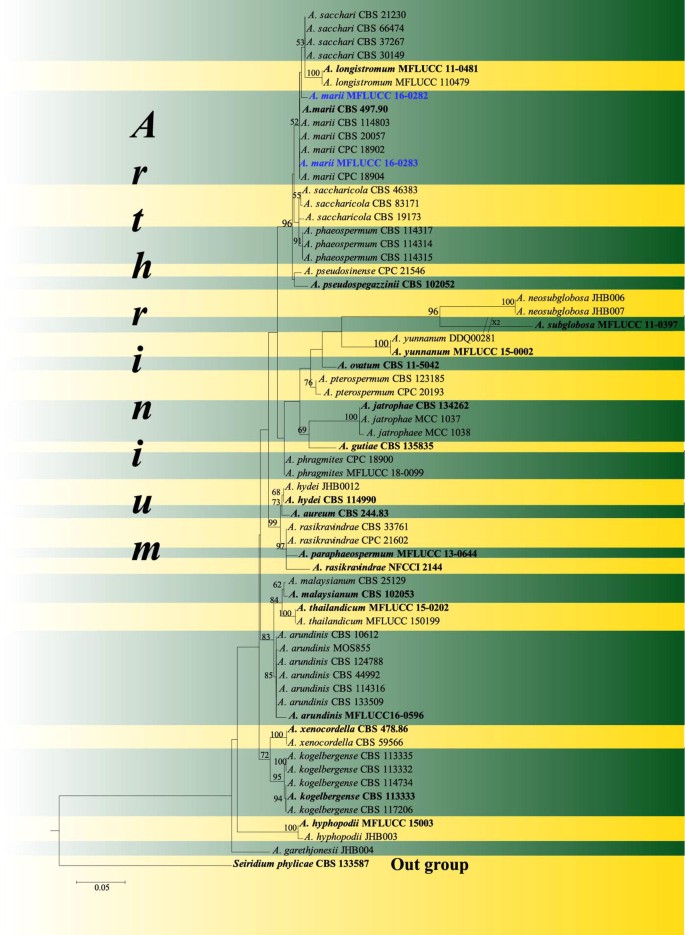 figure 143