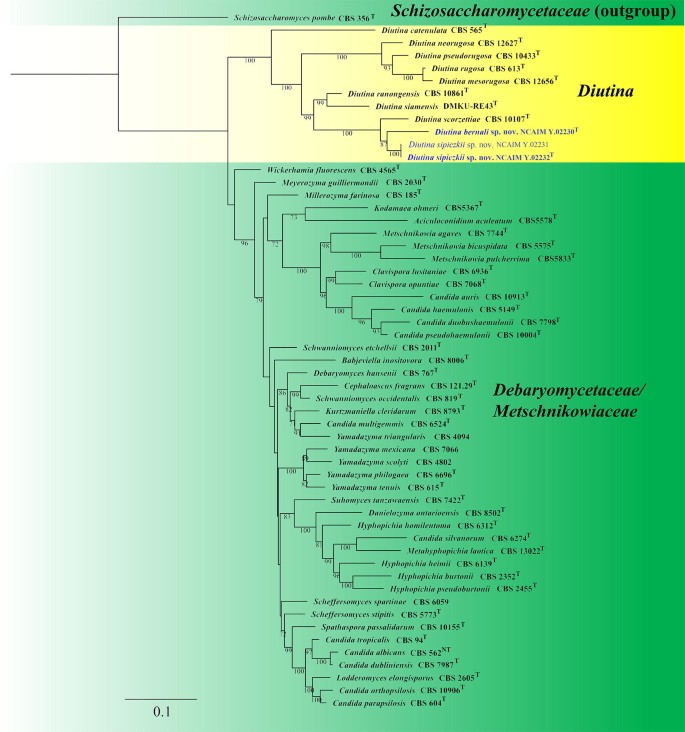 figure 157