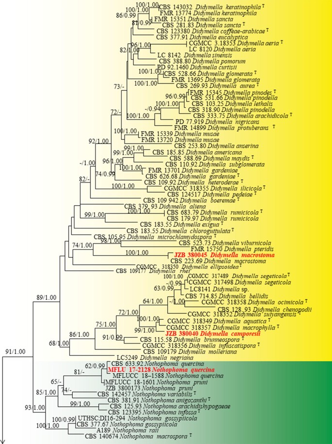 figure 27