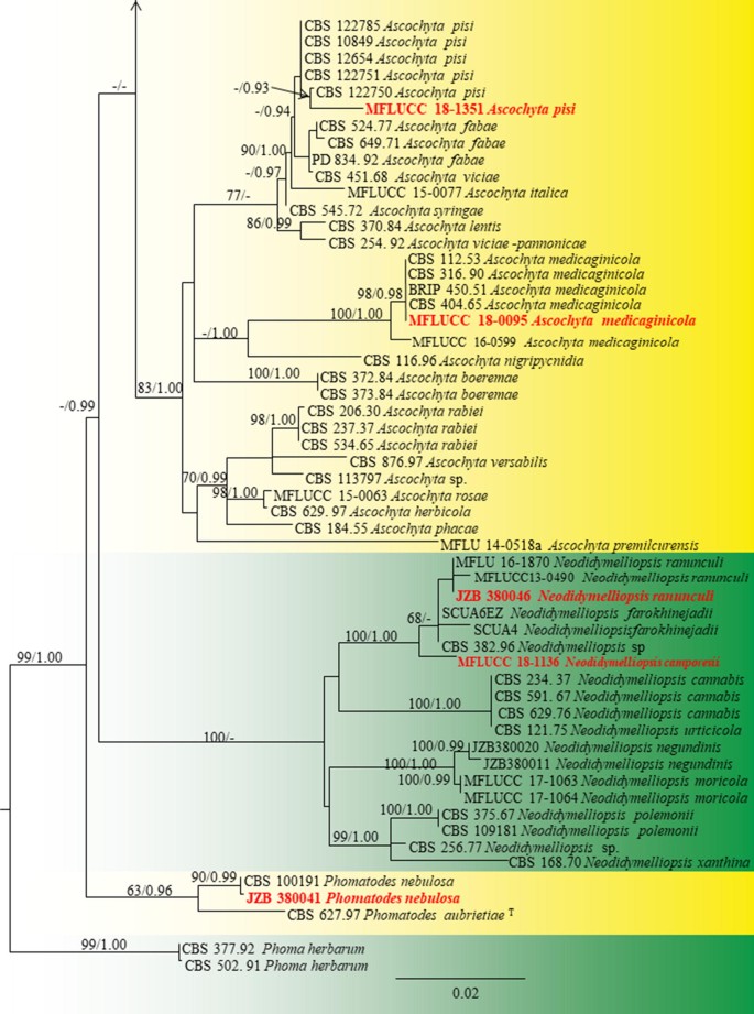 figure 27