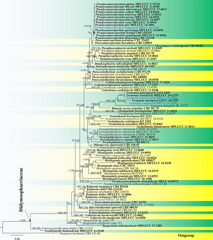 figure 34